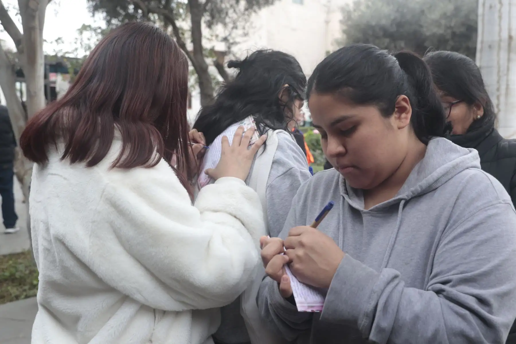 Como se recuerda, cada 30 de agosto se celebra la Festividad de Santa Rosa de Lima, en conmemoración a la primera Santa de América, cuya devoción y entrega inspira a instituciones públicas y creyentes en todo el mundo", refiere la publicación.
Foto: ANDINA/Vidal Tarqui