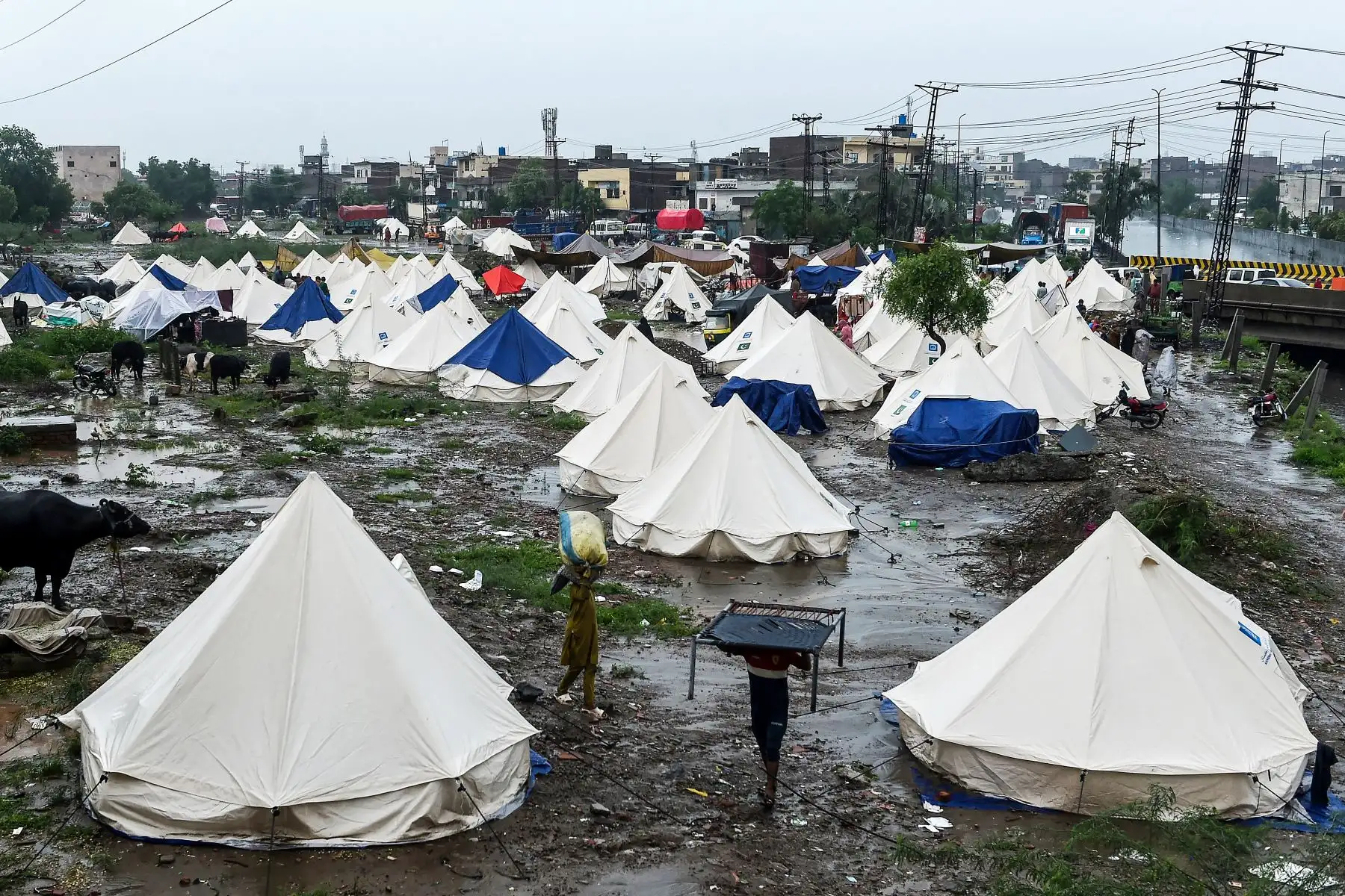 Las víctimas afectadas por las inundaciones llevan sus pertenencias a través de un campamento improvisado en las afueras de Lahore.
Foto: AFP