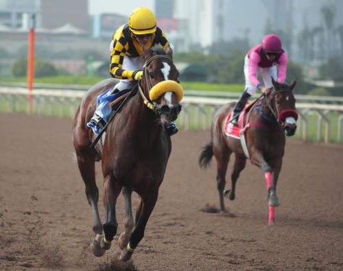 El Clásico Baldomero Aspillaga (G.3) se desarrollará este  en el Hipódromo de Monterrico