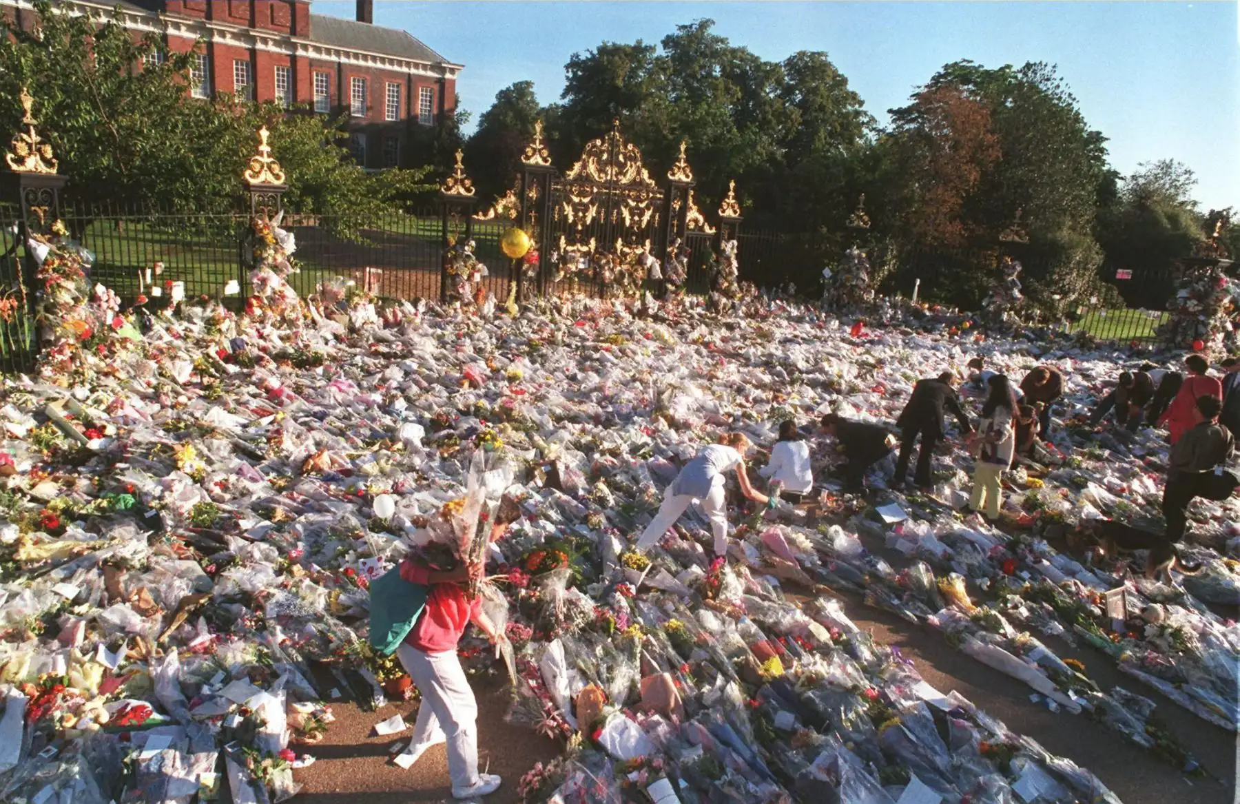 Tan solo dos días después de la noticia de su fallecimiento, la entrada de la residencia de Diana, Princesa de Gales, en el Palacio de Kensington, el 2 de septiembre, ya estaba alfombrada con una gran cantidad de ofrendas florales, mensajes, fotos y recuerdos personales, prueba de la gran admiración que despertaba en personas de todos los ámbitos. La Princesa falleció trágicamente la madrugada del 31 de agosto. Foto: ANDINA/AFP