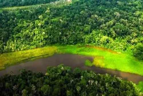 Mapas permitirán dinamizar y priorizar acciones de recuperación ambiental, asignar recursos de manera eficiente y monitorear los avances en la gestión del patrimonio natural.