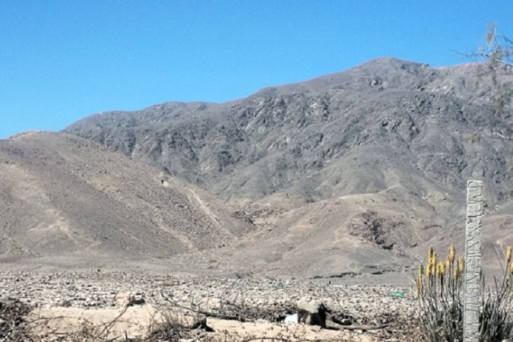 Ica: desalojan a invasores que ocuparon paisaje arqueológico Telar de Buena Fe en Nasca