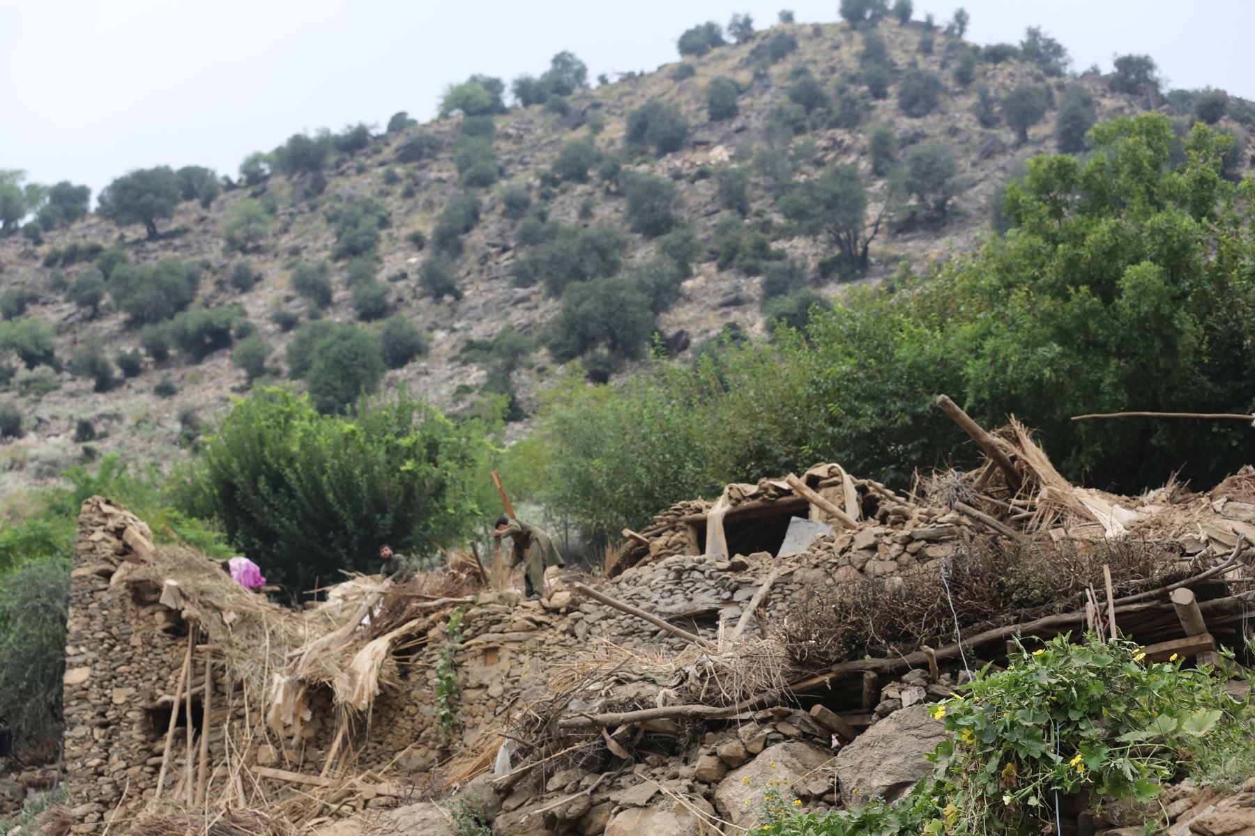 Casas dañadas tras un terremoto en Kunar, Afganistán. Al menos 800 personas murieron y unas 2.000 resultaron heridas tras un terremoto superficial de magnitud 6,0 ​​y varias réplicas que sacudieron Nangarhar y Kunar, en el este de Afganistán. Foto: AFP