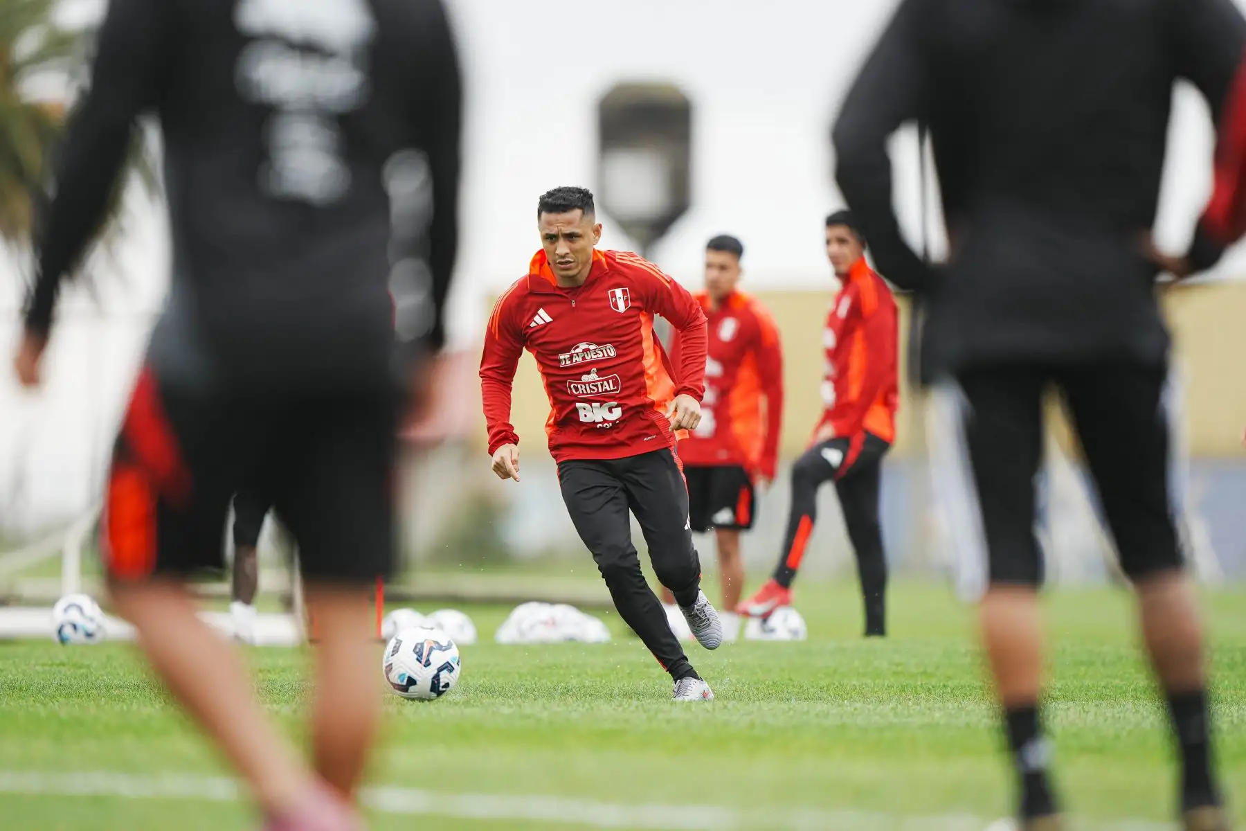 La selección peruana cumplió su segundo día de trabajos para enfrentar, el jueves 4 de setiembre a Uruguay por las Eliminatorias al Mundial 2026 
Foto: FPF