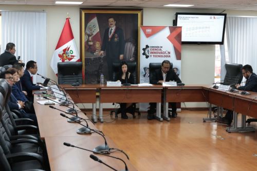 ANDINA/Difusión