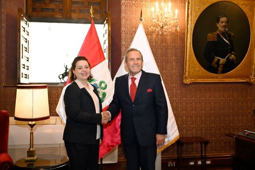 ANDINA/Difusión