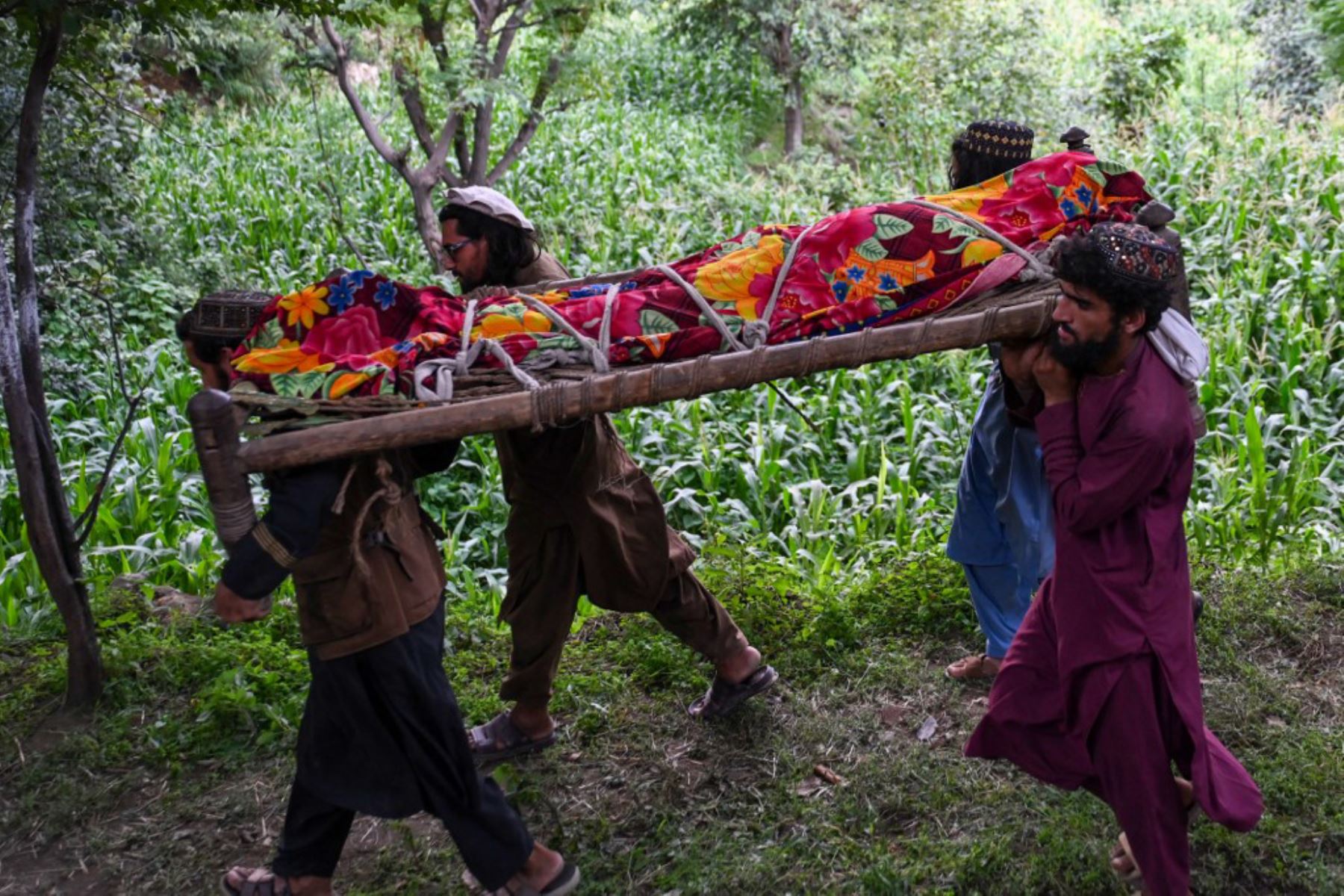 El portavoz gubernamental Zabihullah Mujahid indicó en un comunicado que 1.411 personas fallecieron y 3.124 tuvieron lesiones solo en la provincia de Kunar, la más afectada. Además, señaló que más de 5.000 casas quedaron destruidas. Foto: AFP