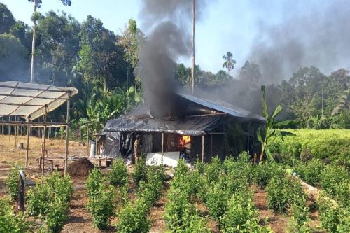 La operación policial se desarrolló en el distrito de Yavari, en Loreto. Foto: ANDINA/Difusión