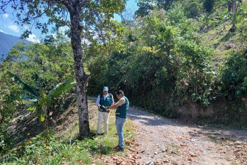 Actualización de la plataforma GEOSERFOR, agilizará el otorgamiento de los Contratos de Cesión en Uso para Sistemas Agroforestales (CCUSAF) en beneficio de la agricultura familiar. Foto: Cortesía.
