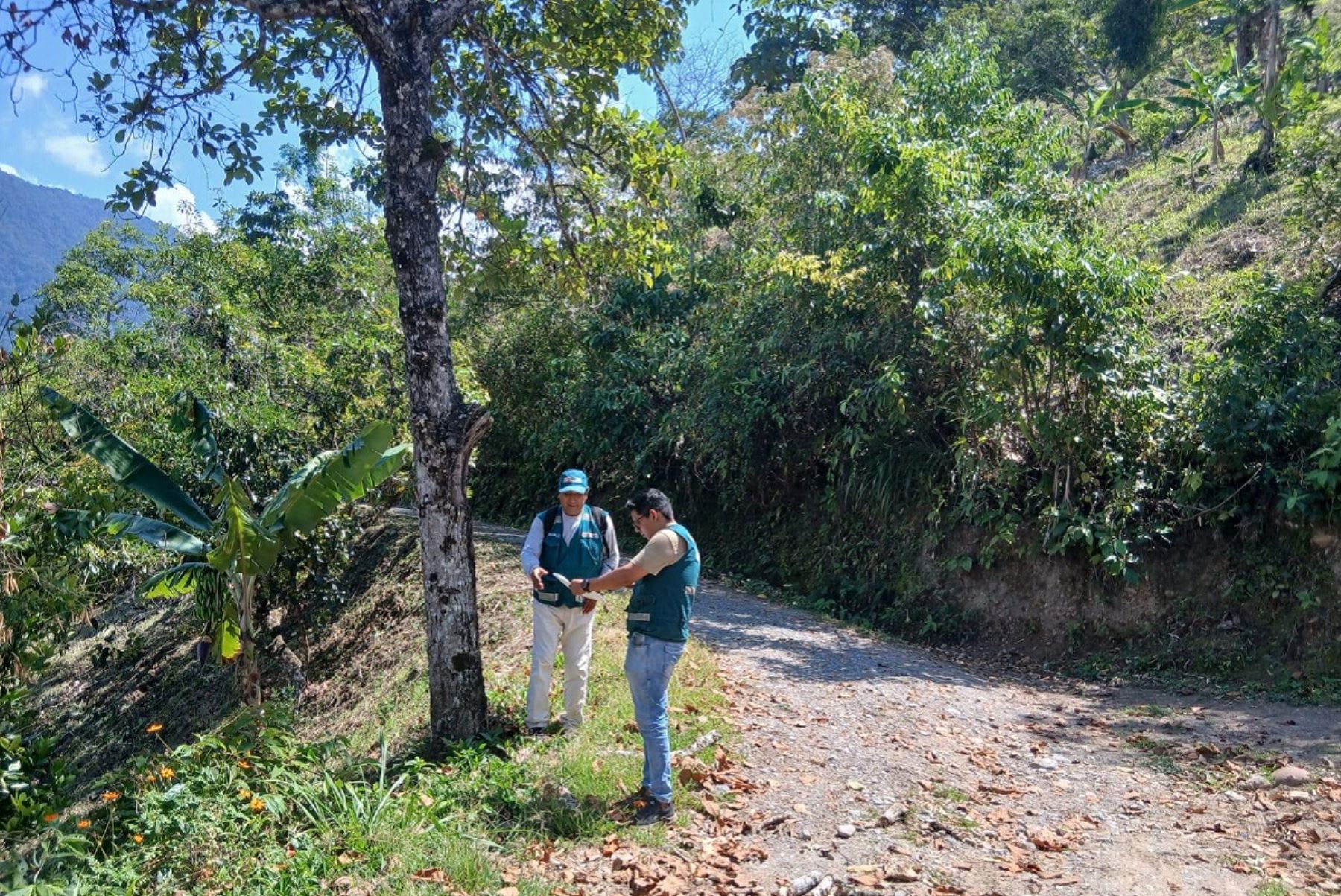 Actualización de la plataforma GEOSERFOR, agilizará el otorgamiento de los Contratos de Cesión en Uso para Sistemas Agroforestales (CCUSAF) en beneficio de la agricultura familiar. Foto: Cortesía.