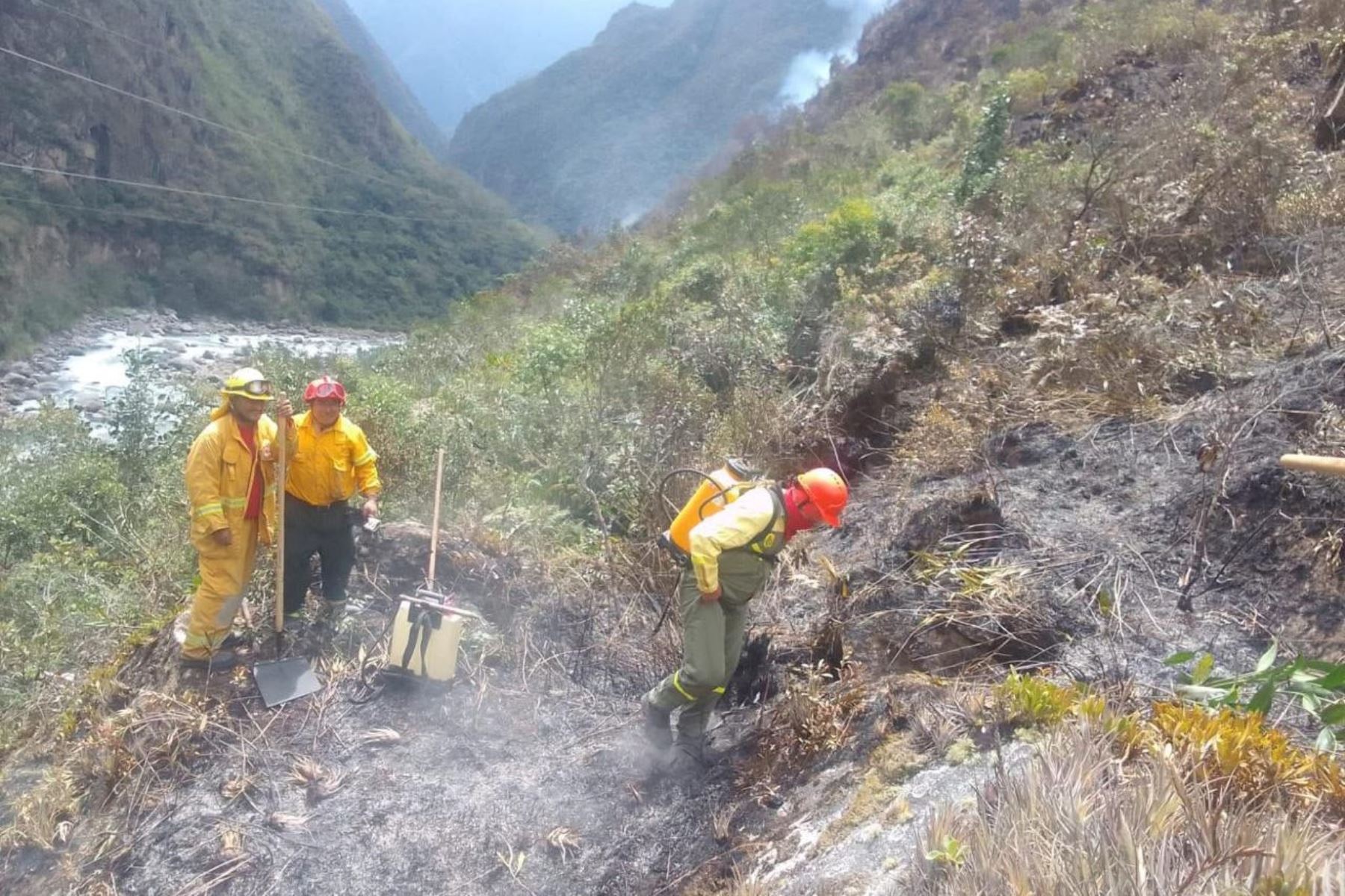 El incendio forestal en Machu Picchu, que se activó por causas que se desconocen, consumió vegetación predominante arbustiva. Foto: Sernanp