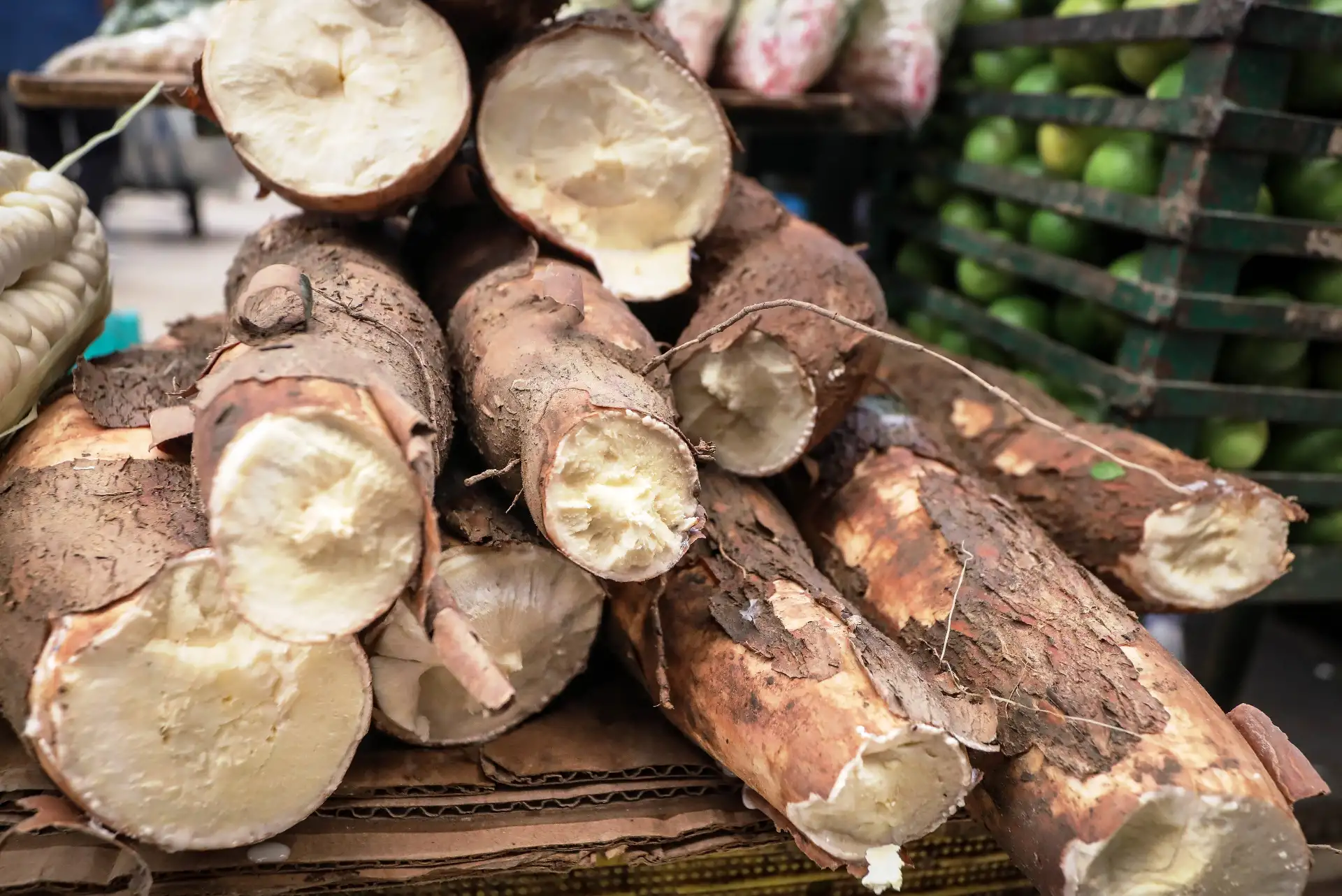 La yuca: conoce sus propiedades y los beneficios para la salud. Foto: ANDINA/Difusión.