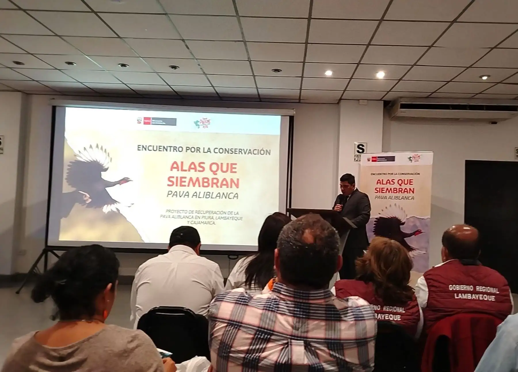 El Ministerio del Ambiente presentó en Chiclayo la ruta de la Pava Aliblanca, un proyecto que busca proteger esta especie emblemática y endémica del norte peruano y al mismo tiempo promover el turismo sostenible en Lambayeque. ANDINA/Difusión