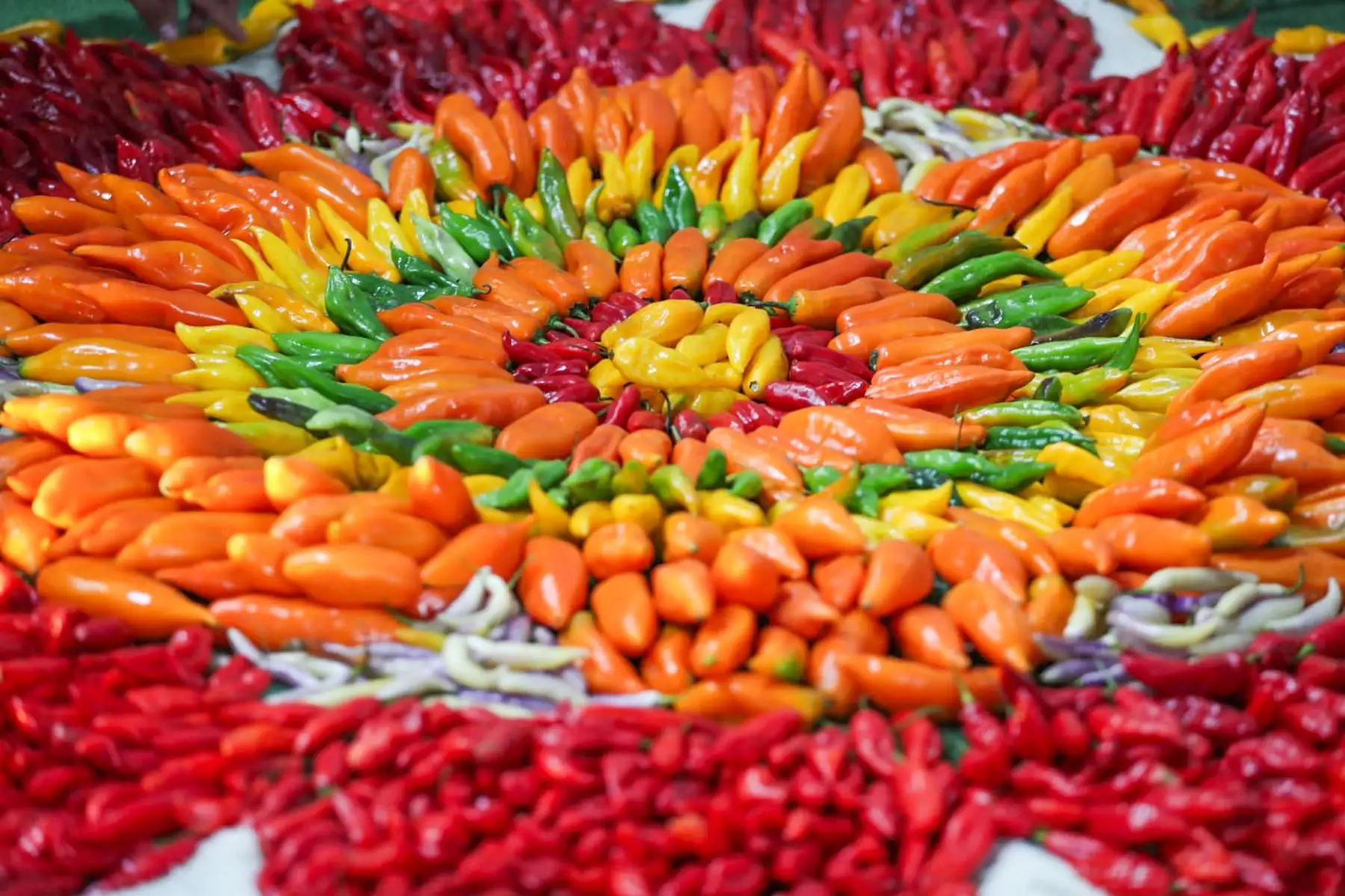 El primer viernes de setiembre se celebra el Día Nacional de los Ajíes Peruanos. Foto: ANDINA