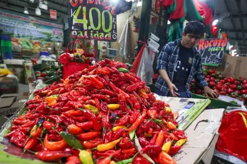 Precios se incrementaron ligeramente a nivel nacional en enero 2026.  ANDINA