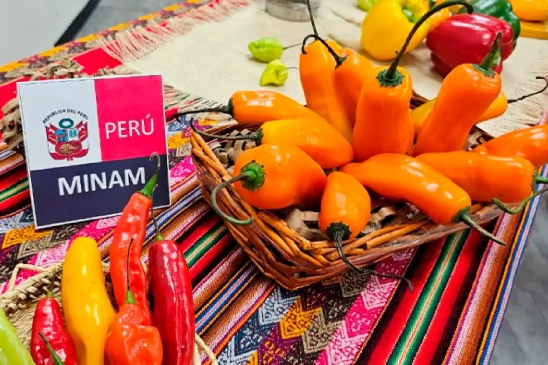 El ají ocupa un lugar protagónico en nuestra biodiversidad, pues además de su rol ecológico es un ingrediente distintivo de la cocina peruana. Foto: Minam