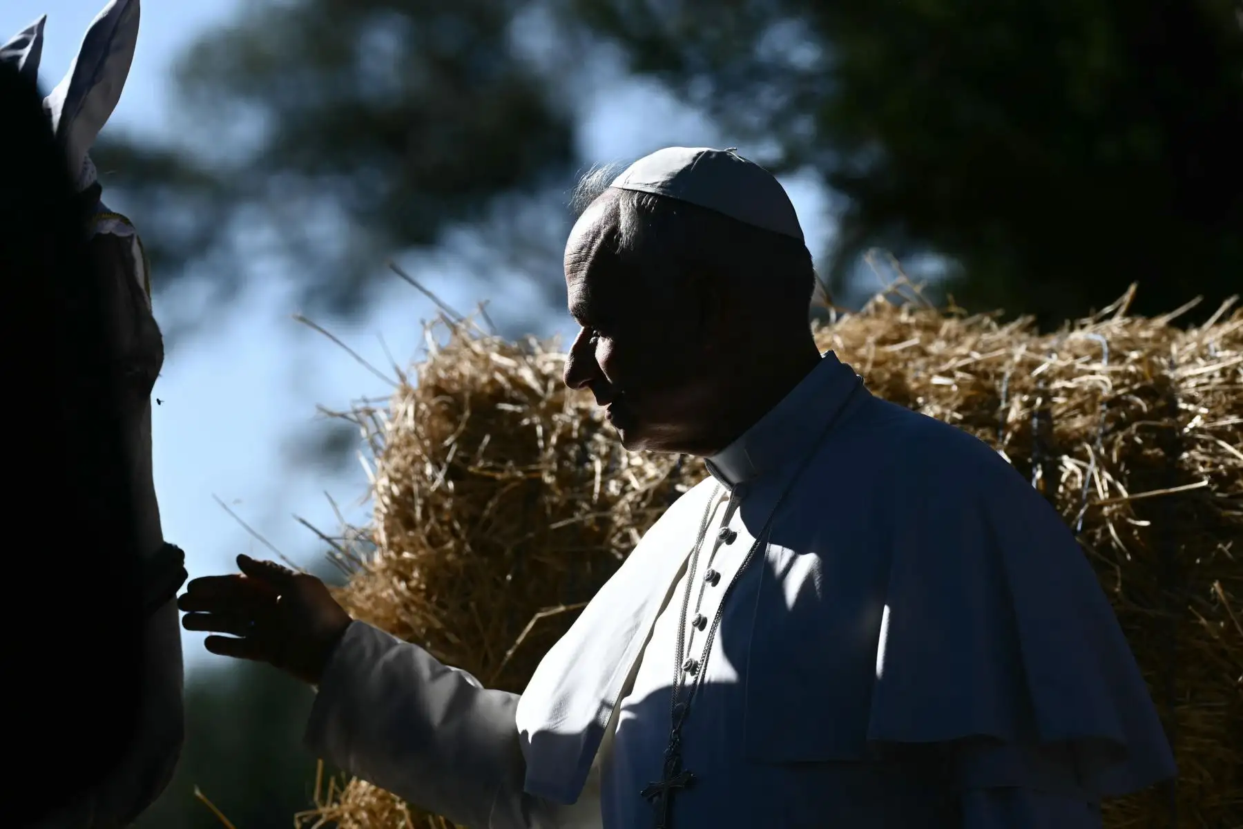 El Papa León XIV asiste a la inauguración del Centro de Formación Avanzada "Borgo Laudato Si