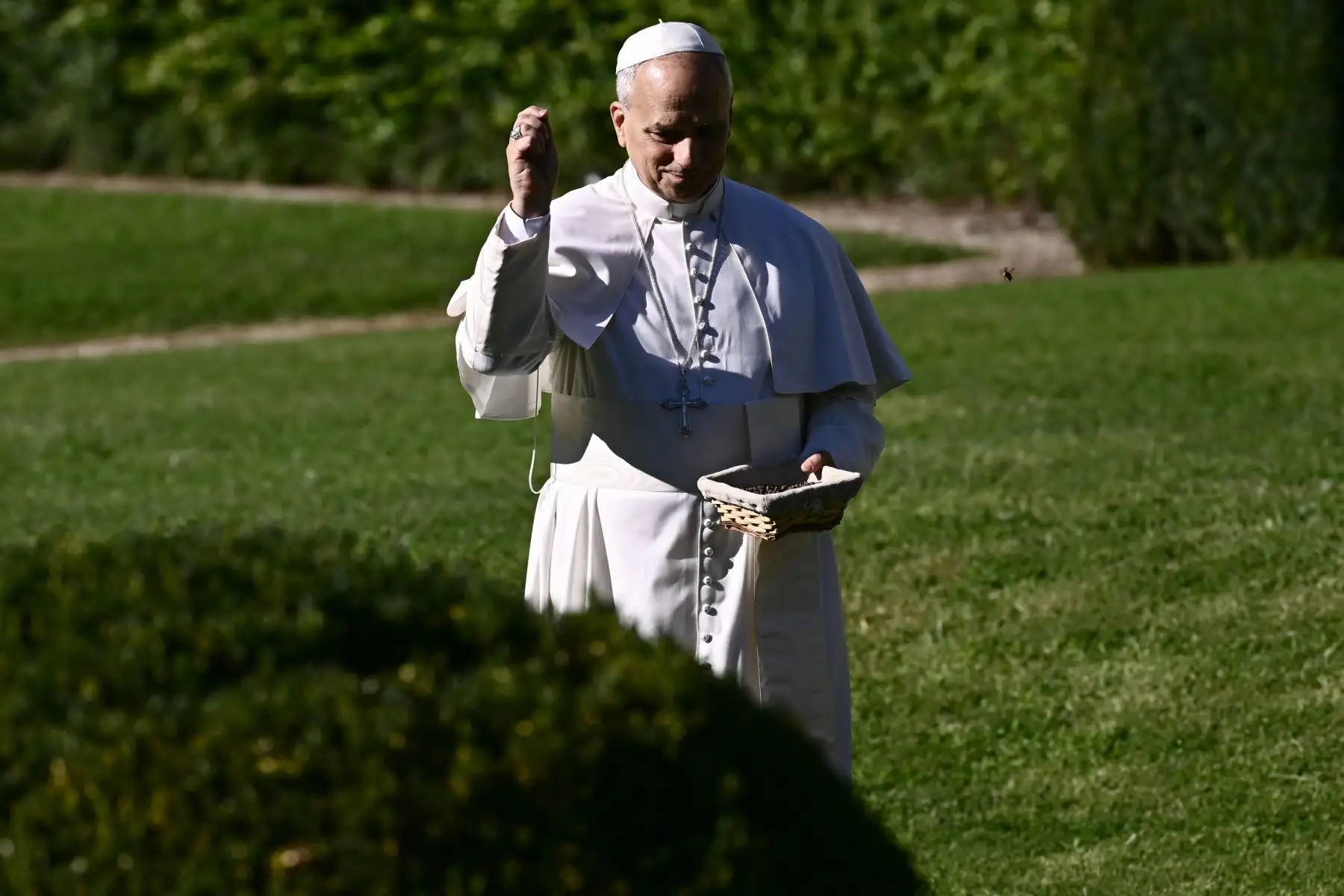 El Papa León XIV alimenta a los peces de un estanque durante la inauguración del Centro de Formación Avanzada "Borgo Laudato Si