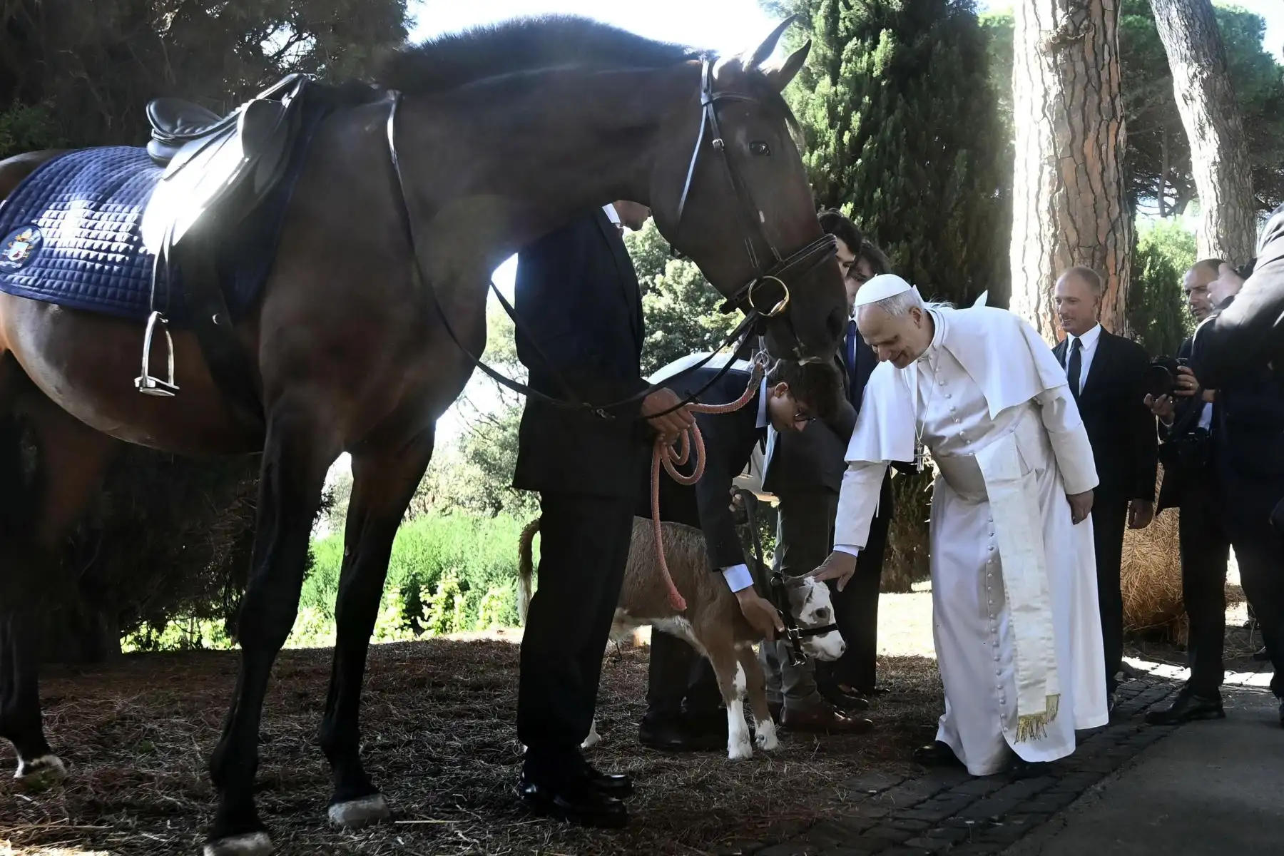 El Papa León XIV asiste a la inauguración del Centro de Formación Avanzada "Borgo Laudato Si