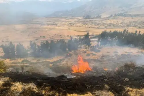 Más de 200 hectáreas de cobertura natural daña incendio forestal en Arequipa