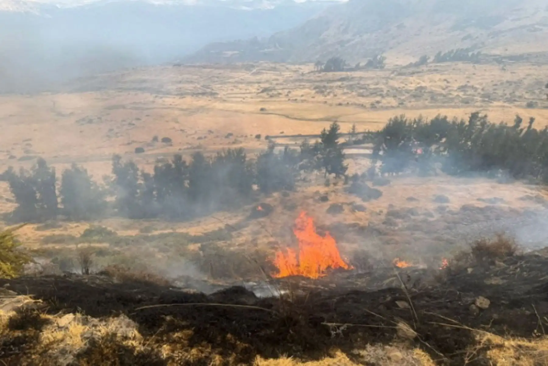 Más de 200 hectáreas de cobertura natural daña incendio forestal en Arequipa