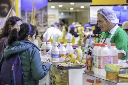 Productores lácteos de Cajamarca recibirán charlas gratuitas sobre calidad para mejorar su competitividad. Foto: Cortesía.