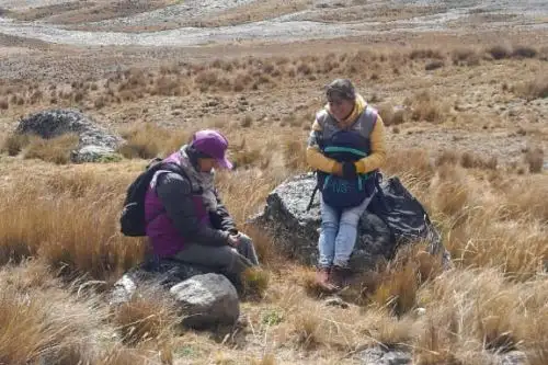 Las censistas se encontraban desaparecidas debido a que la combi en que viajaban sufrió un desperfecto mecánico en una zona alejada y sin señal. ANDINA/Difusión