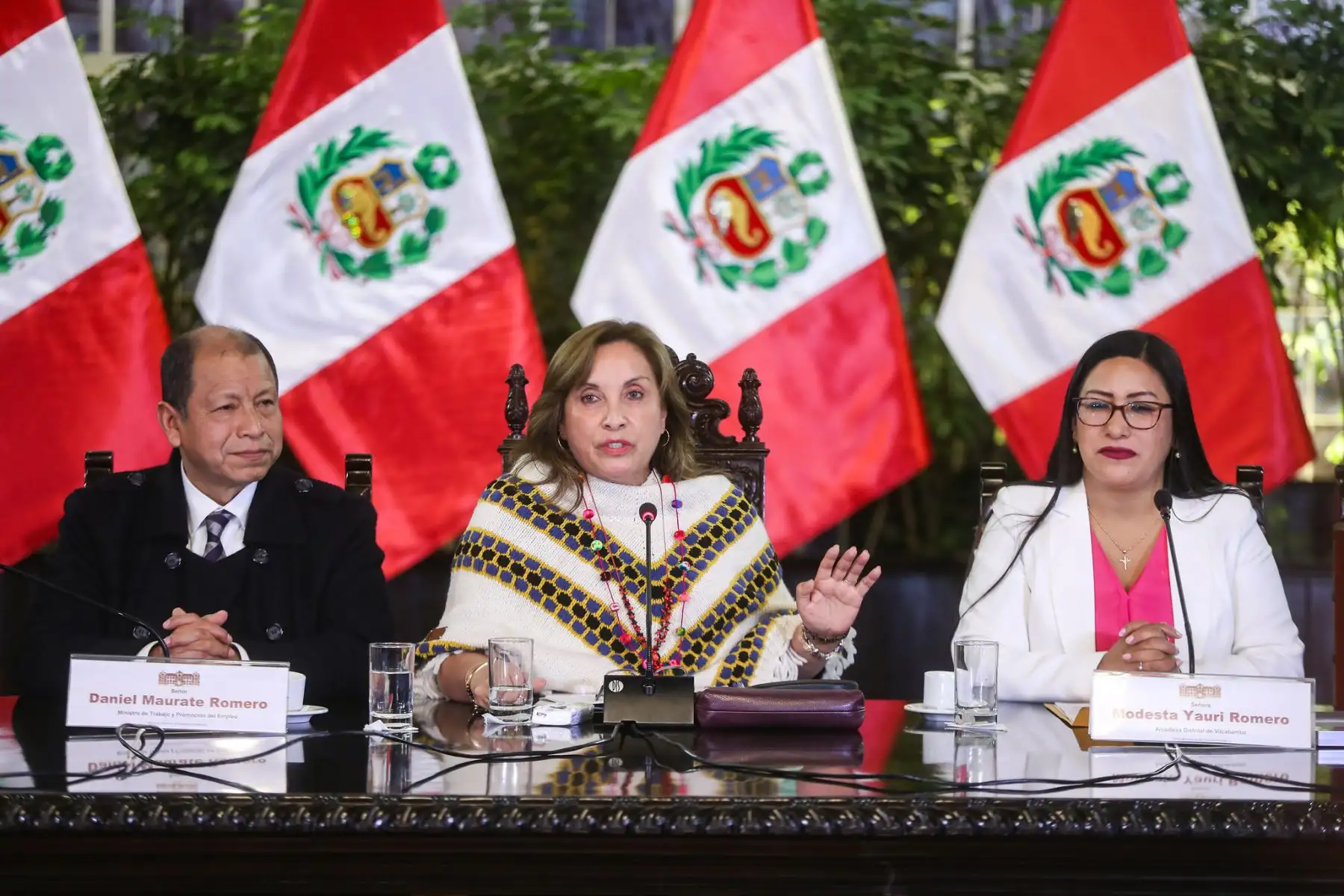 ANDINA/Prensa Presidencia