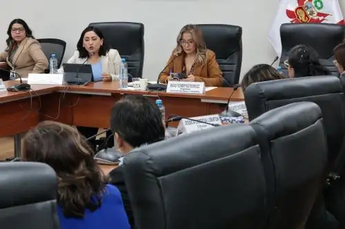 Comisión de Salud y Población presidido por Magaly Ruíz Rodríguez.