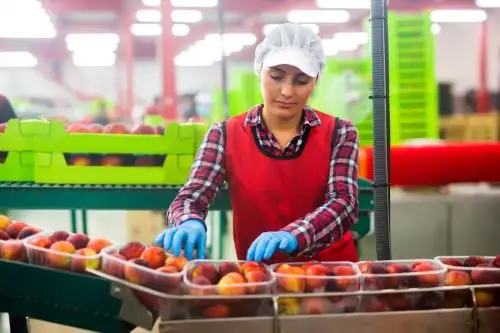 Conoce las carreras técnicas que están ligadas al sector gastronómico y que a corto plazo te permitirá obtener ingresos económicos. Foto: ANDINA/Difusión