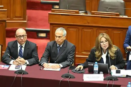 La jefa de Sunat, Marilú Llerena, se presenta en la Comisión de Presupuesto y Cuenta General de la República del Congreso. Foto: Cortesía.