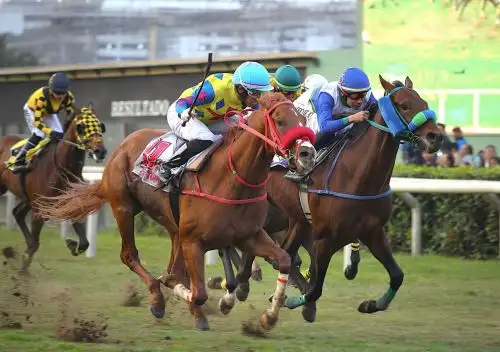 Hipódromo de Monterrico abrirá sus puertas para dar inicio a la Cuádruple Corona 2025.