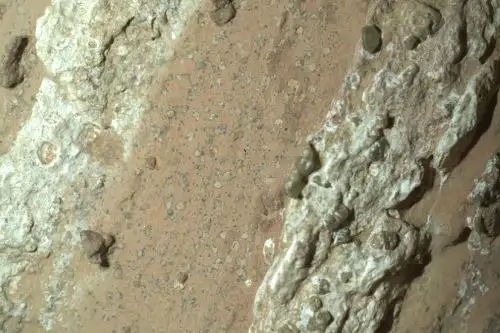 El rover Perseverance de la NASA descubrió "manchas de leopardo" en una rocha que podrían indicar que, hace miles de millones de años, las reacciones químicas que se dieron en esa roca podrían haber sustentado vida microbiana. Pero, a la vez, también contemplan otras posibles explicaciones. Foto: NASA/JPL-Caltech/MSSS