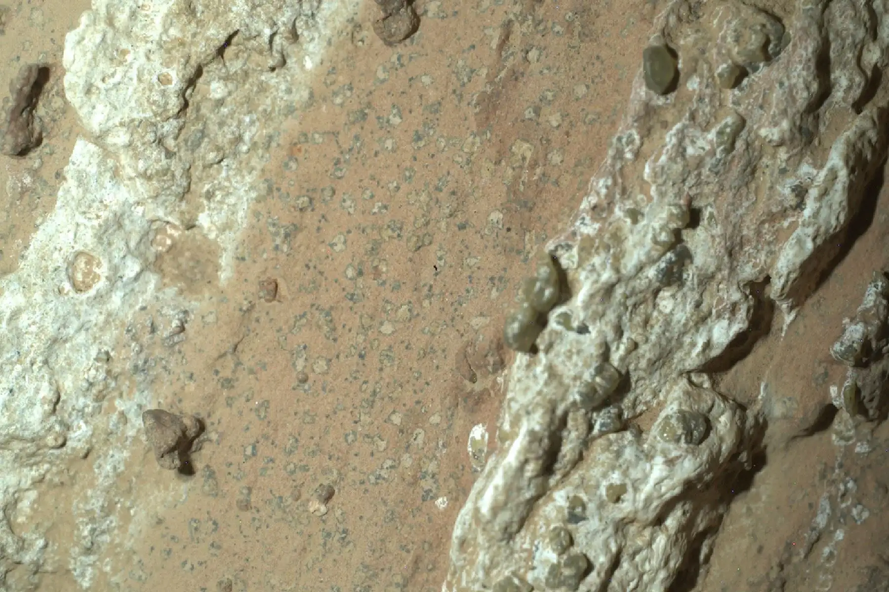 El rover Perseverance de la NASA descubrió "manchas de leopardo" en una rocha que podrían indicar que, hace miles de millones de años, las reacciones químicas que se dieron en esa roca podrían haber sustentado vida microbiana. Pero, a la vez, también contemplan otras posibles explicaciones. Foto: NASA/JPL-Caltech/MSSS