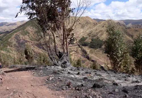 Bomberos y pobladores sofocaron un incendio forestal registrado en Ccorao, ubicado en el distrito de San Sebastián, región Cusco. El fuego fue originado por una ofrenda a la pachamama. ANDINA/Difusión
