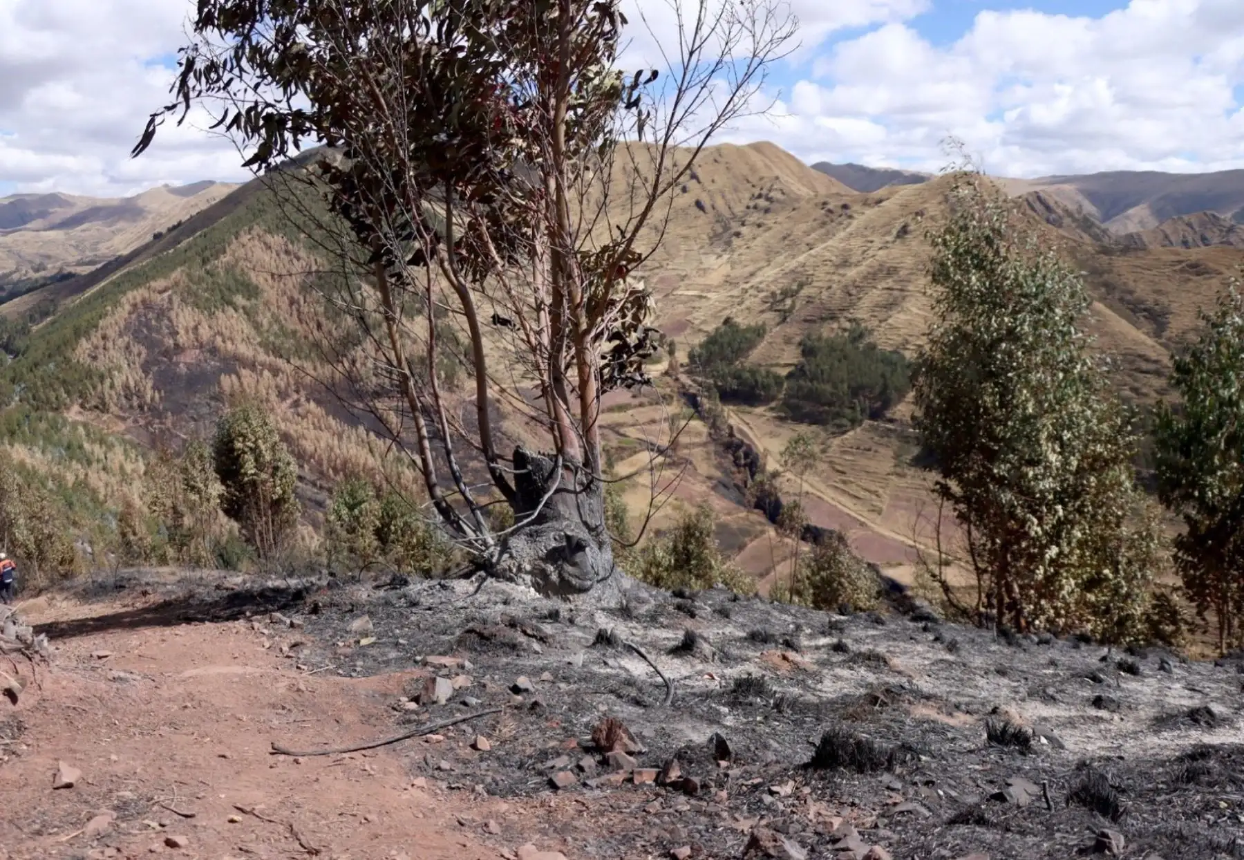 Bomberos y pobladores sofocaron un incendio forestal registrado en Ccorao, ubicado en el distrito de San Sebastián, región Cusco. El fuego fue originado por una ofrenda a la pachamama. ANDINA/Difusión