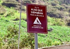 El ministro del Ambiente, Juan Carlos Castro, lanzó oficialmente la ruta turística "Alas que Siembran, Pava Aliblanca" y destacó que esta tiene como objetivo promover el ecoturismo y visibilizar la recuperación de esta ave emblemática peruana. ANDINA/Difusión