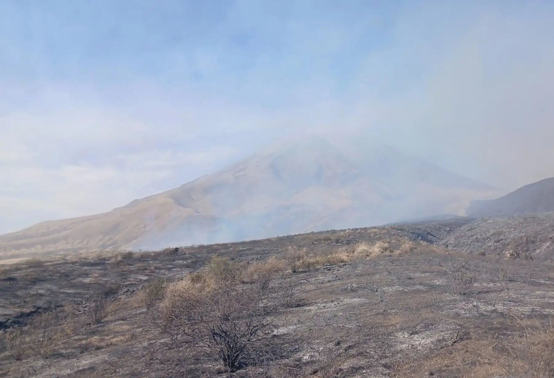 Alerta en Arequipa por un incendio foresta que se inició este mediodía cerca de las faldas del volcán Misti, en la jurisdicción del distrito arequipeño de Miraflores. ANDINA/Difusión