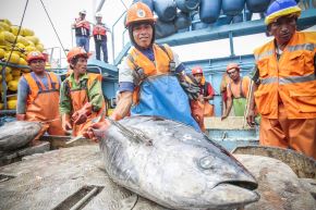 Elección de Perú como presidente del Subcomité de Comercio Pesquero del Comité de Pesca de la FAO, destaca desempeño del país en esta actividad. Foto: Cortesía.