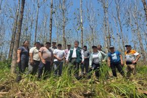  Alianza entre Serfor y banco alemán impulsará gestión forestal sostenible en Perú