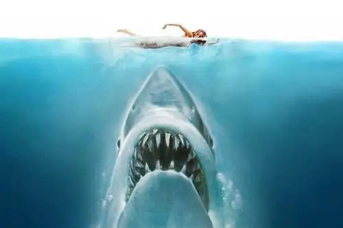 “Tiburón” cumple 50 años: el primer blockbuster de Steven Spielberg que transformó la historia del cine