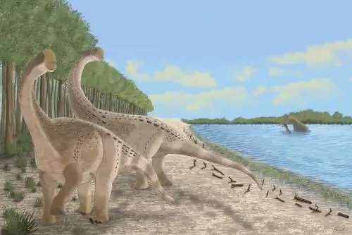 Recreación de dos titanosaurios (al frente) caminando a la orilla de un lago o río. Atrás, un espinosaurio captura un pez cartilaginoso. Autor: Martín García