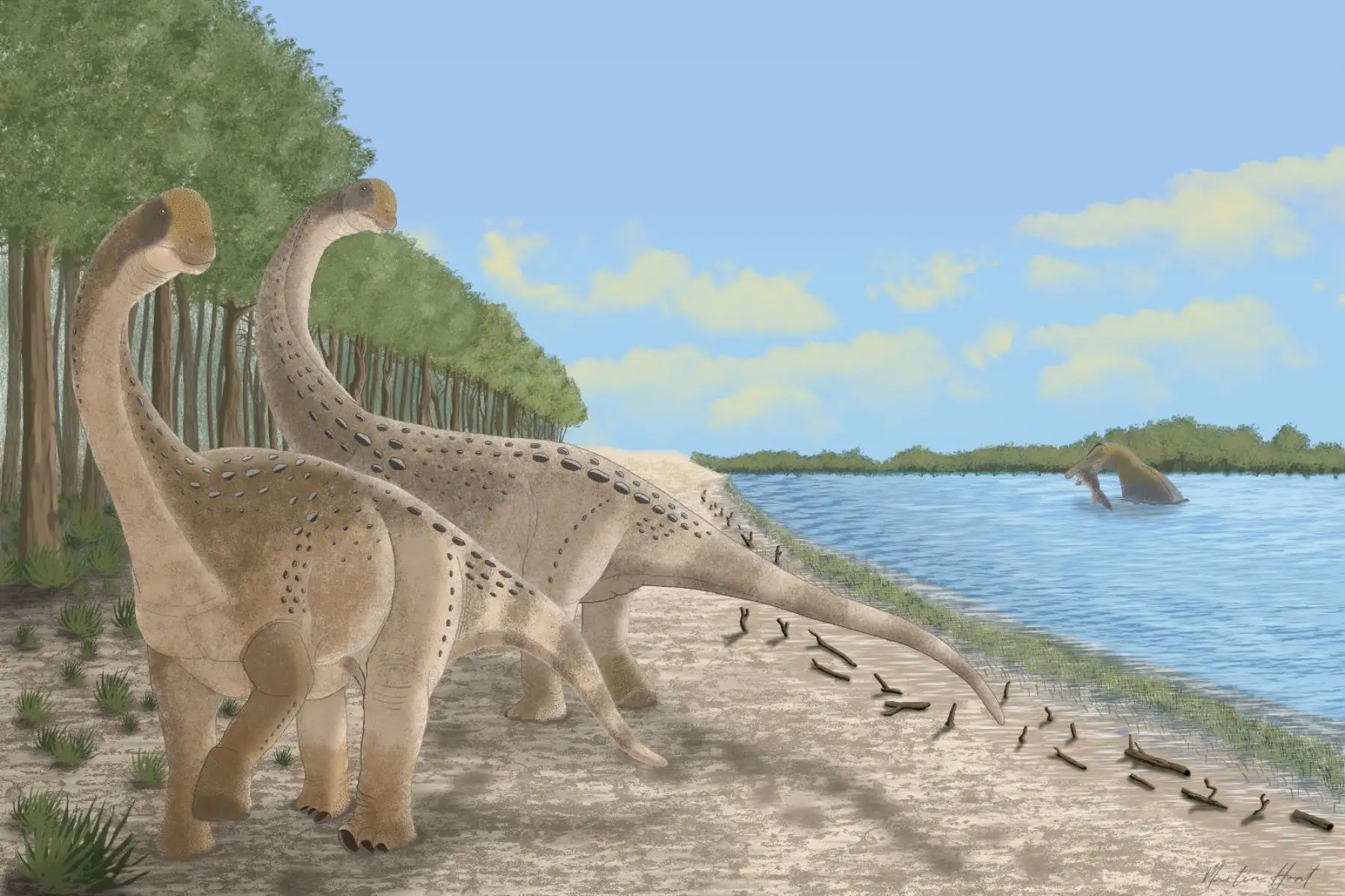 Científicos describen por primera vez fósiles de dinosaurios en la ...