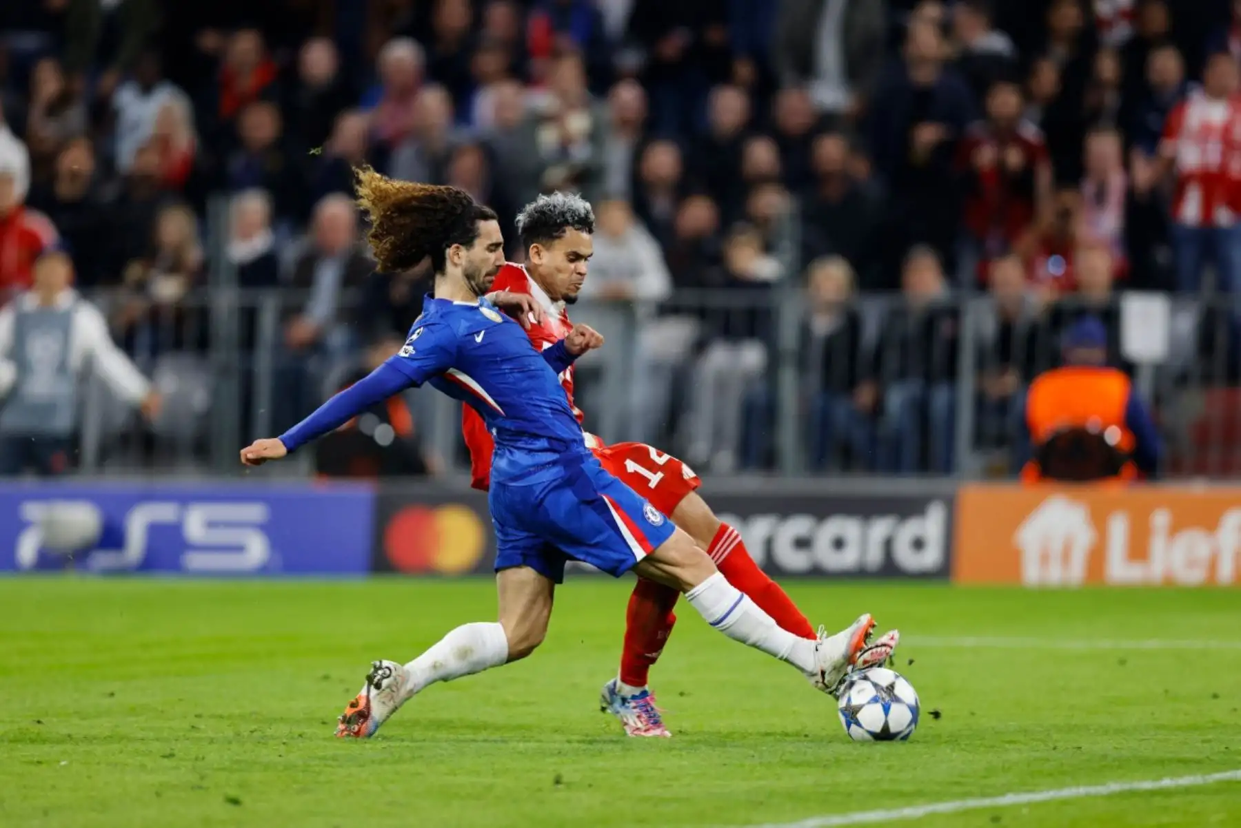 El delantero colombiano del Bayern Munich, Luis Díaz, y el defensor español del Chelsea, Marc Cucurella, compiten por el balón durante el partido de fútbol de la UEFA Champions League entre el FC Bayern Munich y el Chelsea FC en Múnich, sur de Alemania, el 17 de septiembre de 2025. Foto: AFP