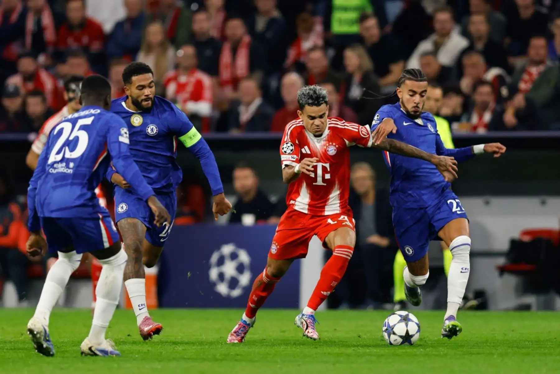 El delantero brasileño del Chelsea, Joao Pedro, compite por el balón con con el delantero colombiano del Bayern Múnich, Luis Díaz, durante el partido de fútbol de la UEFA Champions League entre el FC Bayern Múnich y el Chelsea FC en Múnich, sur de Alemania. Foto: AFP