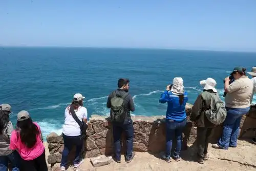 ANDINA/Juan Carlos Guzmán