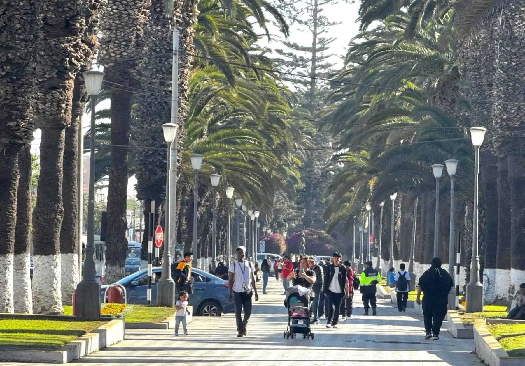 La región Tacna espera recibir cerca de 27,000 turistas chilenos este fin de semana por el feriado largo en el vecino país que celebra su aniversario patrio. ANDINA/Difusión