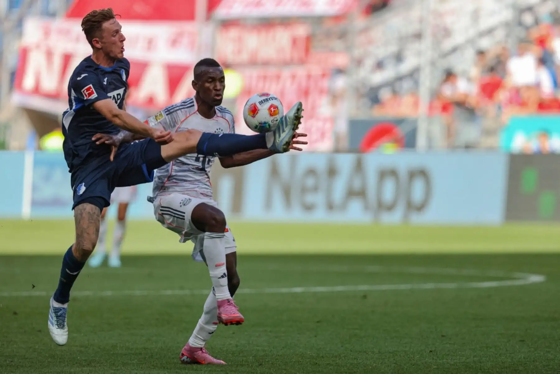 El mediocampista holandés del Hoffenheim, Wouter Burger, y el delantero senegalés del Bayern Munich, Nicolas Jackson, compiten por el balón durante el partido de fútbol de la primera división alemana de la Bundesliga entre el TSG 1899 Hoffenheim y el FC Bayern Munich en Sinsheim, suroeste de Alemania. Foto: AFP