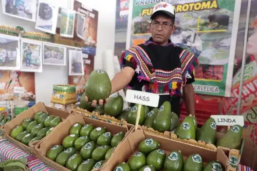 Expo Perú Los Andes 2025: una gran ventana para los productos orgánicos regionales
