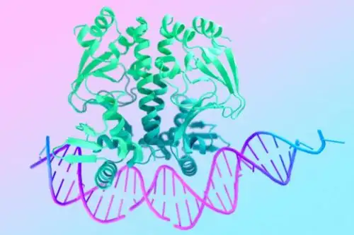 En sólo un año, AlphaFold permitió predecir la estructura de más de 200 millones de proteínas.